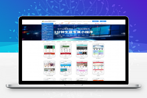 微信狗可视化小程序平台源码OEM招商加盟版 百度小程序可视化平台 百套模板