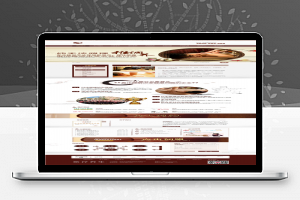 古色养生会所网站源码 织梦dedecms模板[带手机版数据同步]