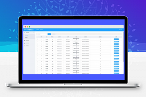 【毕业设计】网约车H5打车系统源码 分为乘客端和司机端源码 也可商用