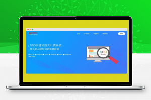 【SEO系统】SEO按天计费系统源码 聚合SEO关键词按天自动扣费系统源码