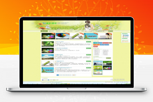 [Emlog]长相厮守1.0清爽个人博客主题 价值99元