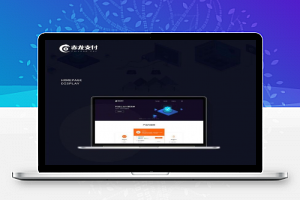 【代理支付】二开赤龙四方支付系统源码+服务器监控APP产码+手机端APP