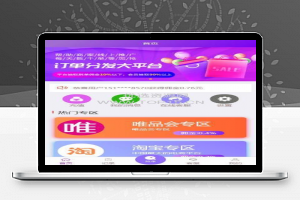 [悬赏源码]2021京东淘宝唯品会自动抢辅助源码