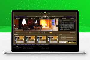 【HTML】古典风格的国际饭店酒店预订网站静态模板