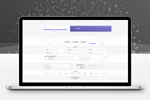 PHP短网址生成系统/短链接生成系统/URL缩短器系统源码+数据