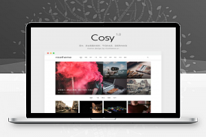 Cosy 1.0模块化UI超好看的自媒体WordPress博客主题价值499