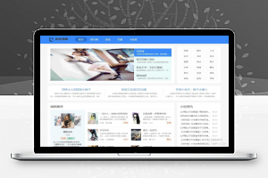 [泛站黑帽SEO]泛目录PHP小说源码 极速收录建站系统