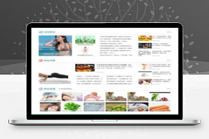 【EMLOG模板】Emlog资源网仿Laynews模板源码