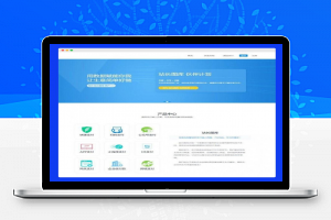 代理三方支付个人支付易支付完整版ThinkPHP网站源码