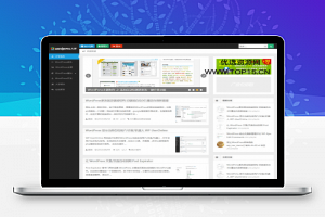 [WordPress]WordPress大学博客杂志CMS主题 wpdx3.6破解版