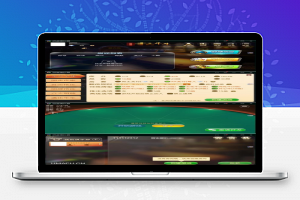 学习研究 牛大元帅八人名牌娱乐游戏源码 带完整的数据库和后台