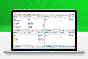 【资源管理】多窗口资源管理器Q-Dir v8.97