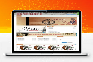 【织梦模板】易经风水网站源码 八字算命 测字易经协会培训 带移动端