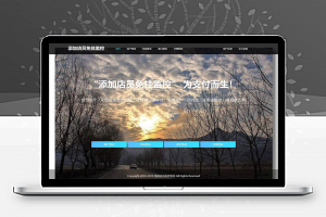 新版免签支付源码fastpay支付添加店员免监控挂机PHP支付系统+码商+代理+盘口